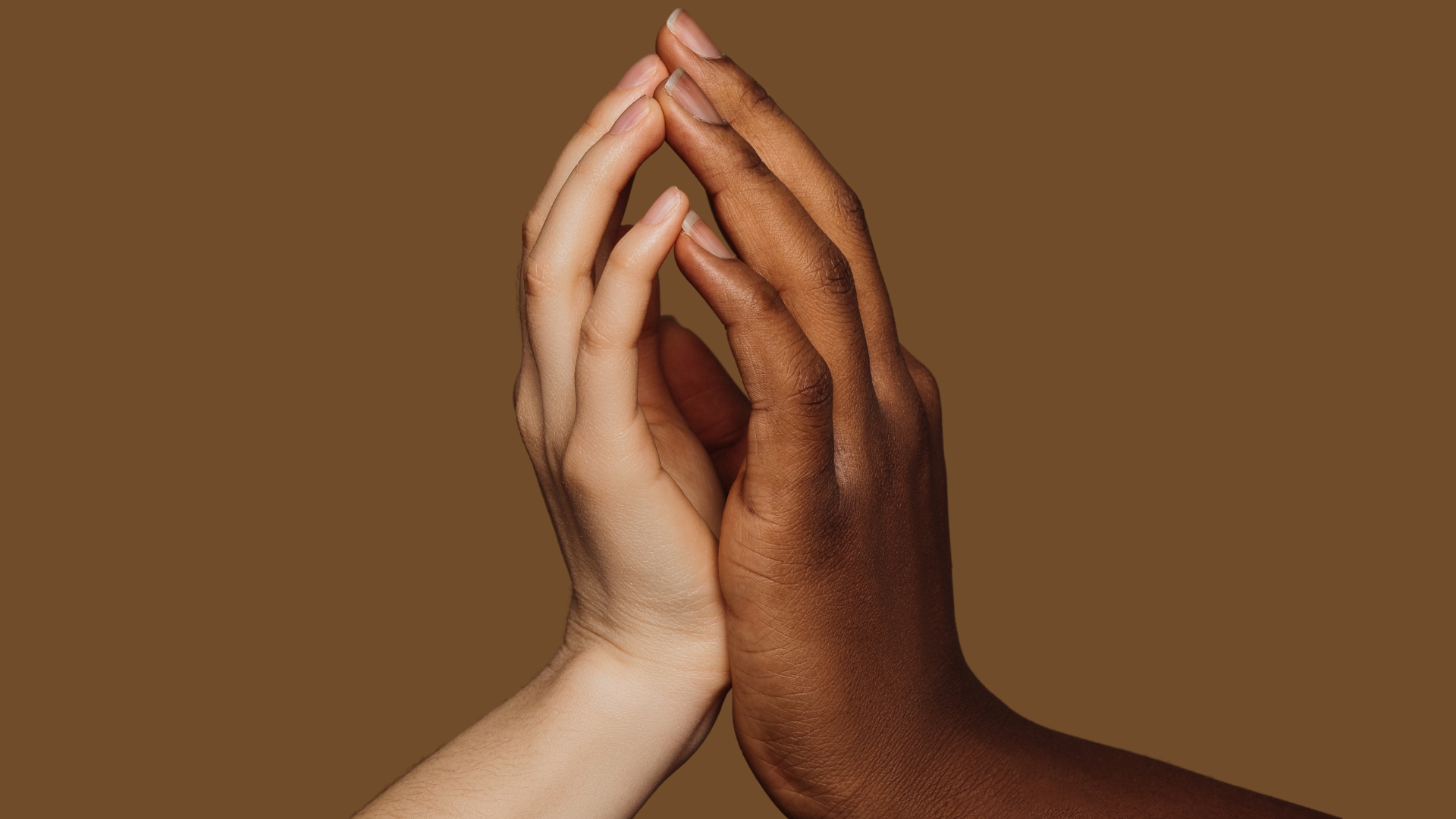 An African American hand and a White hand embracing in solidarity via multicultural marketing